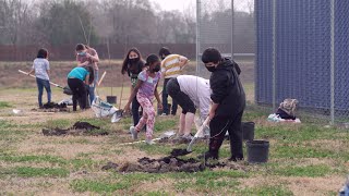 Tree Planting at the Community Garden [upl. by Balcer630]