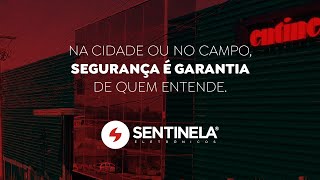 Eletrificador de Cerca  Sentinela Eletrônicos [upl. by Repohtsirhc]