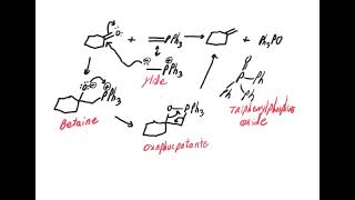 Wittig reaction mechanism [upl. by Llerraf]