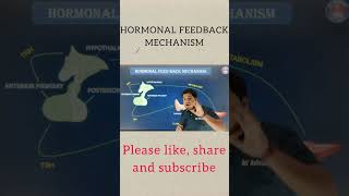 Hormonal feedback mechanism [upl. by Haliled]