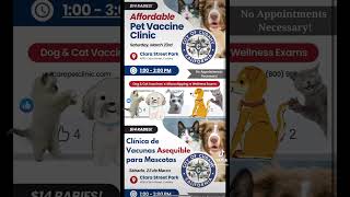 City of Cudahy CA Pet Vaccination Clinic 32324 sela southeast bellchamber lacounty shorts [upl. by Dammahom371]