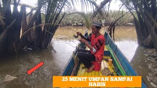 Di Kalimantan Ikan Ini Sangat Murah Spot Ikan Hitam Licin anakmahakamfishing [upl. by Ennalyrehc]