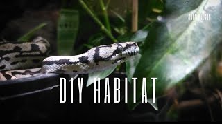 DIY Reptile Vivarium Revamp [upl. by Averyl]