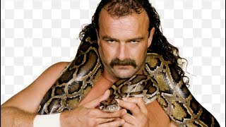 Jake The Snake Roberts Figur🔥🔥🔥🔥🔥 [upl. by Spatz]