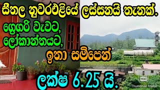 සිතල නුවරඑළියෙන් ලස්සන තැනක් ලක්ෂ 625 කට මෙන්න NUWARAELIYA LANDSNUWARAELIYA HOUSEPODI MALLI LN [upl. by Enixam]