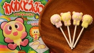 Animal Shaped Soft Candy Japanese Interesting DIY Candy Kit [upl. by Gladstone]