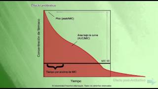Farmacocinética Farmacodinámica Antimicrobianos [upl. by Krilov]