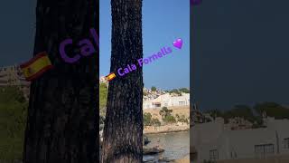 Cala Fornells 💜 Paguera Mallorca 🇪🇸 Playa 🌴 Herbst ☀️ Wetter 💜 httpsyoutubeXwtwpc6fl9M [upl. by Martres]