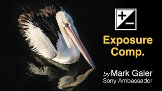 Exposure Compensation when using Sony Alpha Cameras [upl. by Aileno]