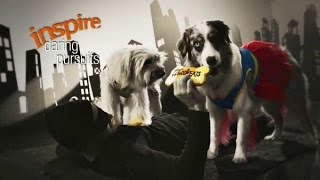 TV Spot  PetSmart  Pet Costumes  Halloween 2014 Treat Your Pet Sale  Inspired By Pets [upl. by Olivier900]