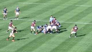 2016ラグビー大学選手権 同志社 vs 早稲田 石田・同大先制Ｔ [upl. by Thornburg]