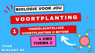 4 vwo  Voortplanting  1  Ongeslachtelijke voortplanting amp mitose [upl. by Marc315]