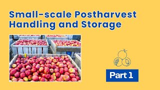 Smallscale Postharvest Handling Practices Horticultural Crops  Part 1 [upl. by Eastlake]