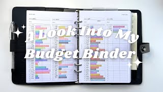 A Look Into My Budget Binder  A5 Filofax The Original Organizer [upl. by Ecertak870]