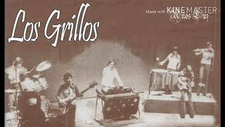 Los Grillos de Bolivia  Wendoly Julio Iglesias 1971 [upl. by Rybma]