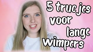 5 SIMPELE TIPS VOOR LANGE WIMPERS [upl. by Trudie]