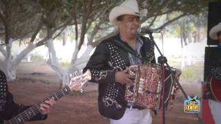 Los Alameños De La Sierra  El Burrero Culon En Vivo [upl. by Analla984]