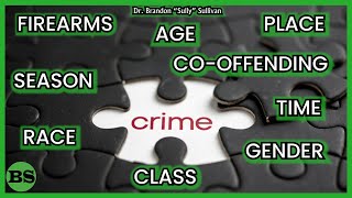 Crime Patterns amp Trends A Basic Overview [upl. by Judd]