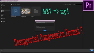 The File has an Unsupported Compression Type  Premiere Pro  Solved [upl. by Ennaecarg]