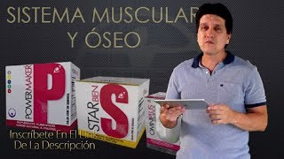 Productos Omnilife Para El Sistema Muscular Y Oseo [upl. by Galvan395]