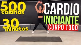 CARDIO para INICIANTES  30MIN  Queime 500 calorias  Corpo Todo [upl. by Murvyn314]