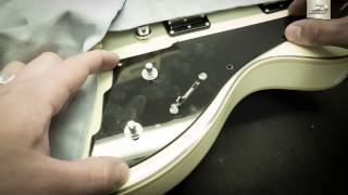 DIVP  EPISODE V  CHANGING PICKGUARDS [upl. by Calloway674]