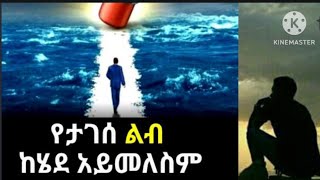 Brex Man is liveየታገሰ ልብ ከሄደ አይመለስም [upl. by Senalda]