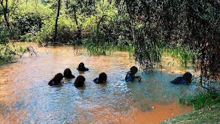 What A Camera Captured In The Philippines Shocked The Whole World [upl. by Ahsimit686]