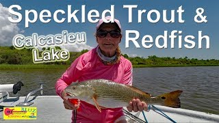 Speckled Trout amp Redfish Fishing with Live Shrimp Calcasieu Lake LA [upl. by Jandel]