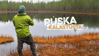 Syksyistä kalastusta ja retkeilyä metsälammella [upl. by Coffey731]