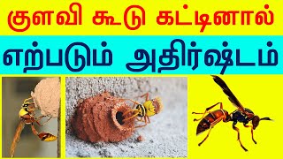 குளவி கூடுகட்டினால் வரும் அதிர்ஷ்டம  Kulavi koodu kattinal enna palan Indian Astrology predictions [upl. by Calandra]