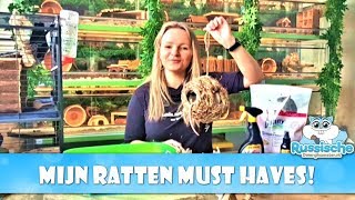 🐭 Mijn Ratten Must Haves  Tamme Ratten [upl. by Assilla]