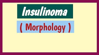 Insulinoma  Morphology [upl. by Moffitt]