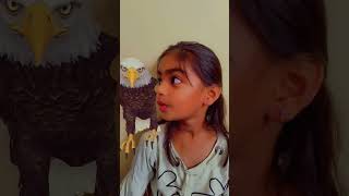 Chidiya Rani Badi Sayani 🦅🐓🐤🐣 hindirhymes hamarijinisha nurseryrhymes chidiyaranibadisyani [upl. by Amsaj]