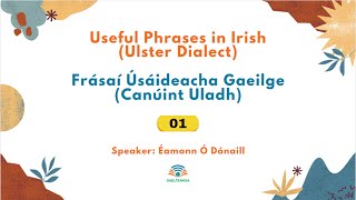 Useful Phrases in Irish Ulster Dialect 1  Frásaí Úsáideacha Gaeilge Canúint Uladh 1 [upl. by Andrien]