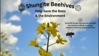 Shungite Beehives FAQ Video [upl. by Fagin]