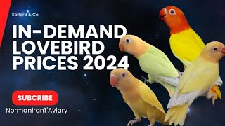 InDemand Lovebird in the Philippines with Prices 2024 [upl. by Fortune]