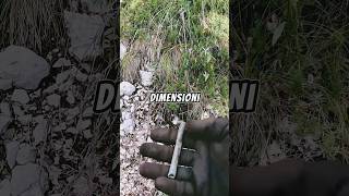 I pericoli del metaldetecting nella militaria ww2 ww1 relic danger relic archeology war [upl. by Champagne]