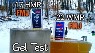 CCI FMJ 17 HMR vs 22 WMR 22 Magnum Ballistic Gel Test [upl. by Qahsi580]