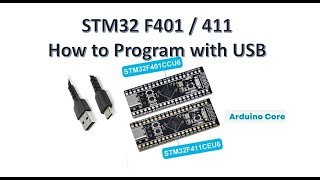 STM32 F401 F411 How to Program using USB [upl. by Suk]