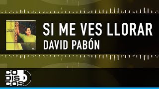 Si Me Ves Llorar David Pabón  Video Letra [upl. by Jermain849]