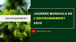 Journée mondiale de lenvironnement 2020 Protéger lenvironnement [upl. by Flip]