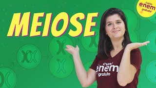 MEIOSE  Resumo de Biologia para o Enem [upl. by Eleets]