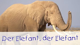 Der Elefant der Elefant  Tierlieder für Kinder II Kinderlieder [upl. by Akcired547]