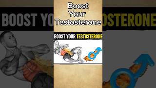 Testosterone booster exercises testosterone boost exercisesathome [upl. by Inahteb222]