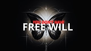 YOU DON’T HAVE FREE WILL AND THAT’S A GOOD THING [upl. by Odnalo]