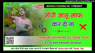 🔴 SORRY JANU MAF KR DO  New Nagpuri Octapad Dj Song 2024  Present Dj Seewan Painkra Kersai Jspr [upl. by Kirkwood899]