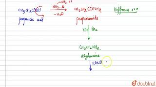 How will you convert propionic acid to acetic acid   12  CARBOXYLIC ACIDS  CHEMISTRY  DINE [upl. by Noe225]