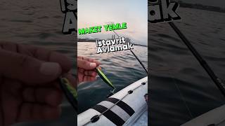 İstavrit Avı Sea Horse Sparkle 70s fishing fish balık lrf lrfbalıkavı fishinglife [upl. by Tnayrb]