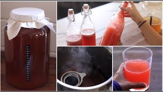 DIY Kombucha [upl. by Dino294]